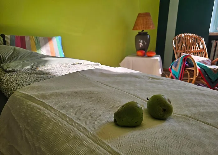 - Botanical Garden Apartament