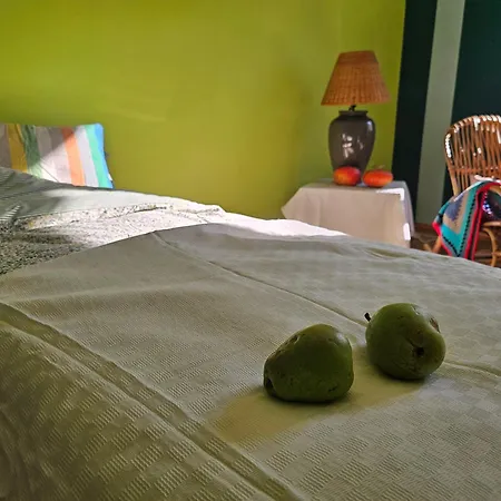 - Botanical Garden Daire